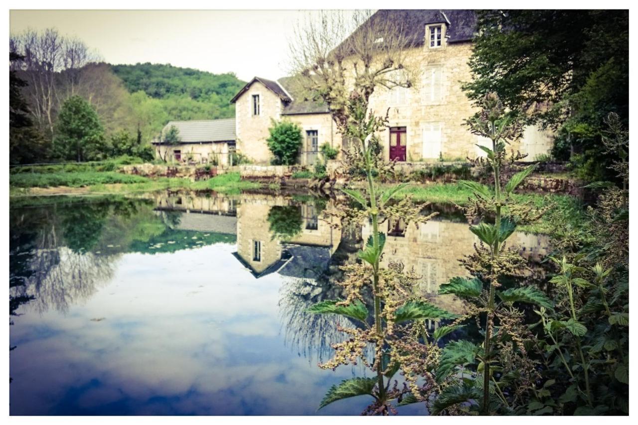 O Reve De Gabriel Bed & Breakfast Saint-Amand-de-Coly Екстериор снимка