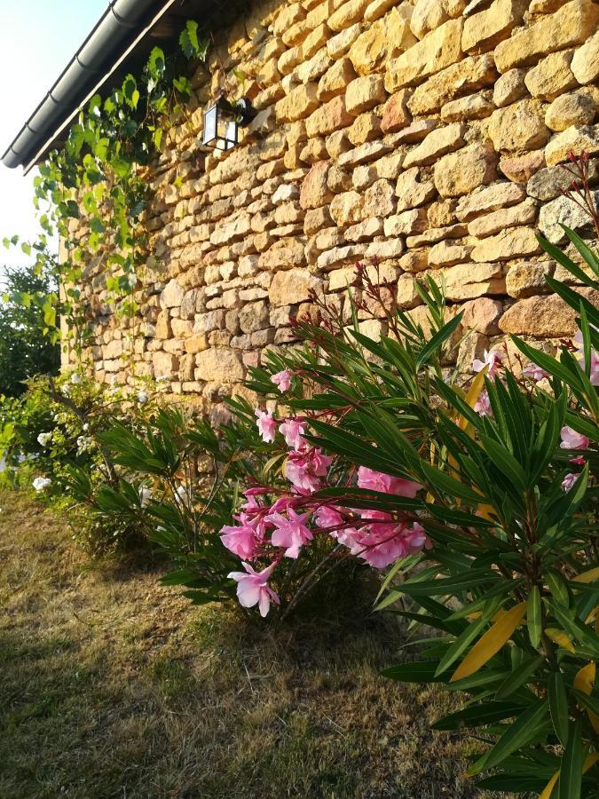 O Reve De Gabriel Bed & Breakfast Saint-Amand-de-Coly Екстериор снимка