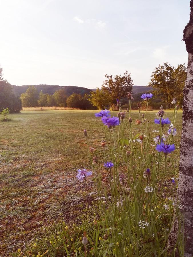 O Reve De Gabriel Bed & Breakfast Saint-Amand-de-Coly Екстериор снимка